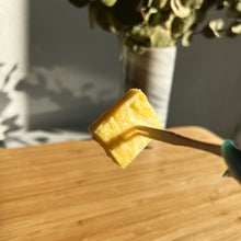 Afbeelding in Gallery-weergave laden, Divine Maia Chocolates Fresh Durian 12 stuks pre-order